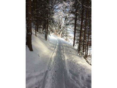 Apartment Appartement 2. Stock - Outdoor photo 12