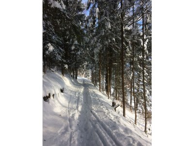 Apartment Appartement 2. Stock - Outdoor photo 13