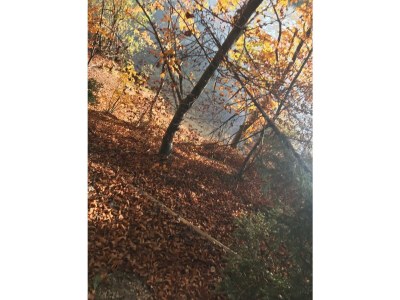 Apartment Appartement 2. Stock - Outdoor photo 19