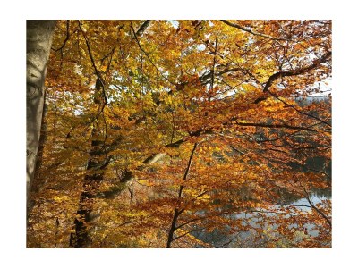 Apartment Appartement 2. Stock - Outdoor photo 24