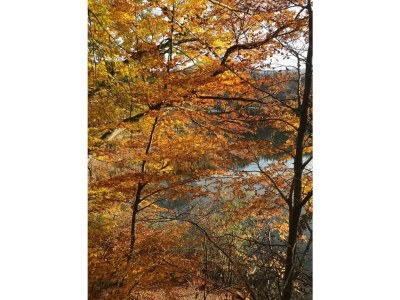 Apartment Appartement 2. Stock - Outdoor photo 28