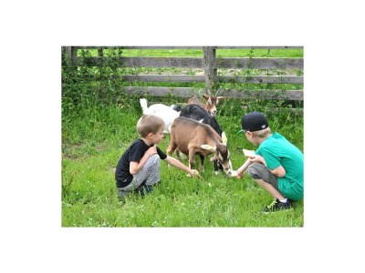 Apartment Ferienwohnung "Ahornspitz" - Outdoor photo 9