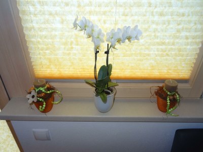 Apartment Apartment Panorama - Outdoor photo 20