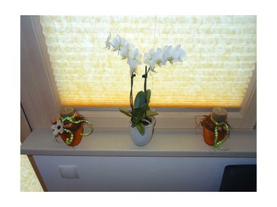 Apartment Apartment Panorama - Features photo 35