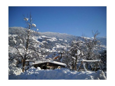 Apartment Ferienwohnung APFELBAUM - Outdoor photo 4