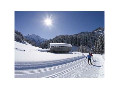 Apartment Ferienwohnung APFELBAUM - Outdoor photo 12