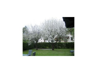 Apartment Appartement Sommer - Outdoor photo 13