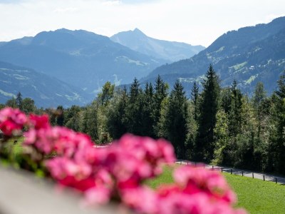 Apartment Ferienwohnung 2.OG - Outdoor photo 3