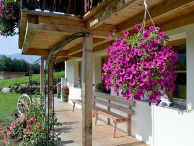 Apartment Ferienwohnung 2.OG - Outdoor photo 8