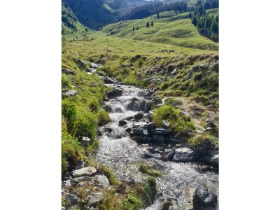 Apartment Ferienwohnung 2.OG - Outdoor photo 12