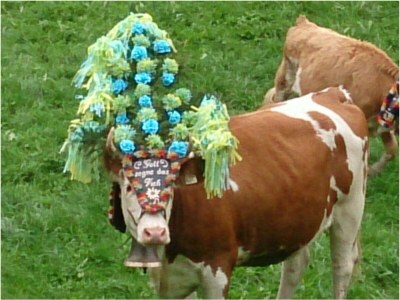 Apartment Ferienwohnung 2.OG - Outdoor photo 16