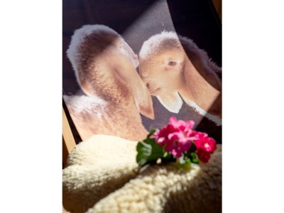 Apartment Ferienwohnung 2.OG - Features photo 26