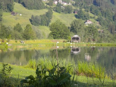 Apartment Wohnung "Hamberg" - Outdoor photo 15