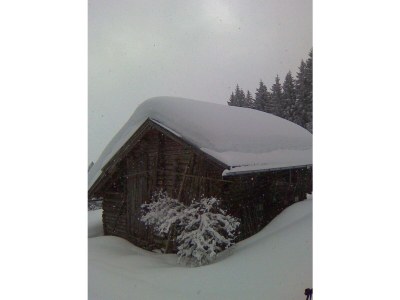 Apartment Landhaus - Outdoor photo 41