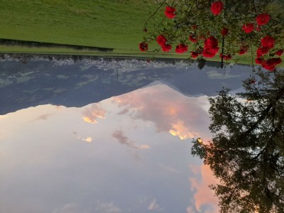 Apartment Ferienwohnung Rose - Outdoor photo 11