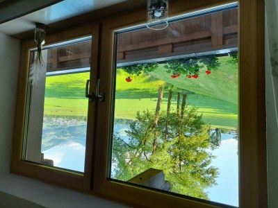 Apartment Ferienwohnung Rose - Outdoor photo 16