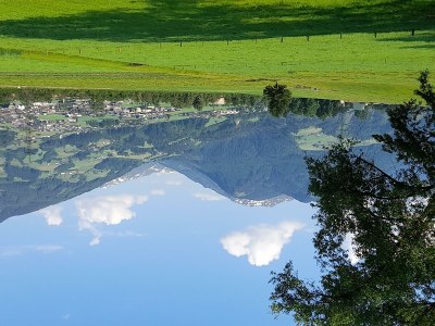 Apartment Ferienwohnung Rose - Outdoor photo 17