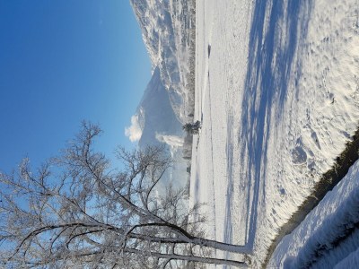 Apartment Ferienwohnung Rose - Outdoor photo 20