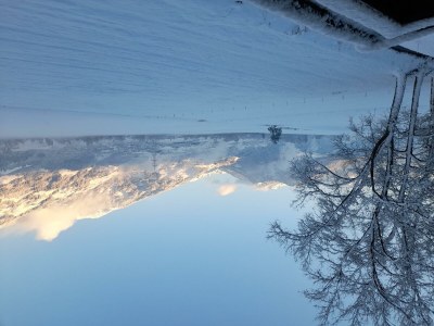 Apartment Ferienwohnung Rose - Outdoor photo 24