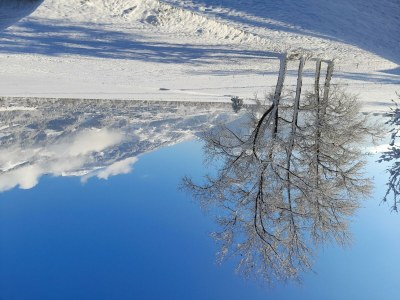 Apartment Ferienwohnung Rose - Features photo 27