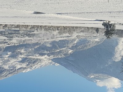 Apartment Ferienwohnung Rose - Features photo 28