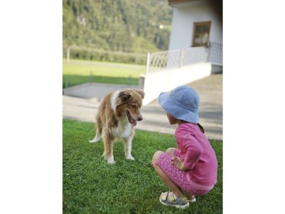 Apartment Ferienwohnung Panorama - Outdoor photo 20