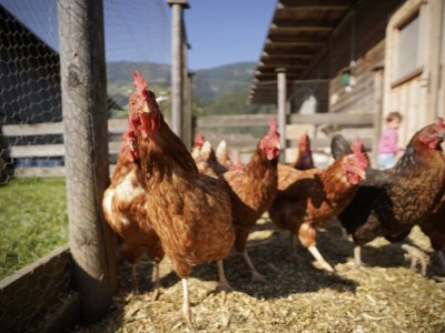 Apartment Ferienwohnung Panorama - Outdoor photo 23