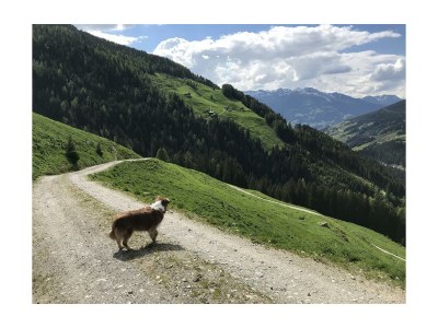 Apartment Ferienwohnung Panorama - Outdoor photo 35