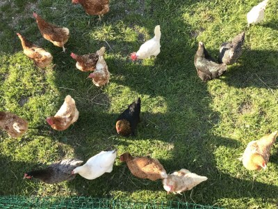 Apartment Ferienwohnung Panorama - Outdoor photo 36