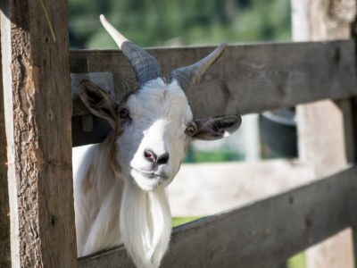 Apartment Ferienwohnung Panorama - Outdoor photo 59
