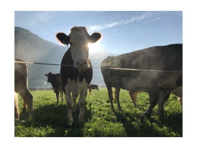 Apartment Ferienwohnung Panorama - Outdoor photo 60