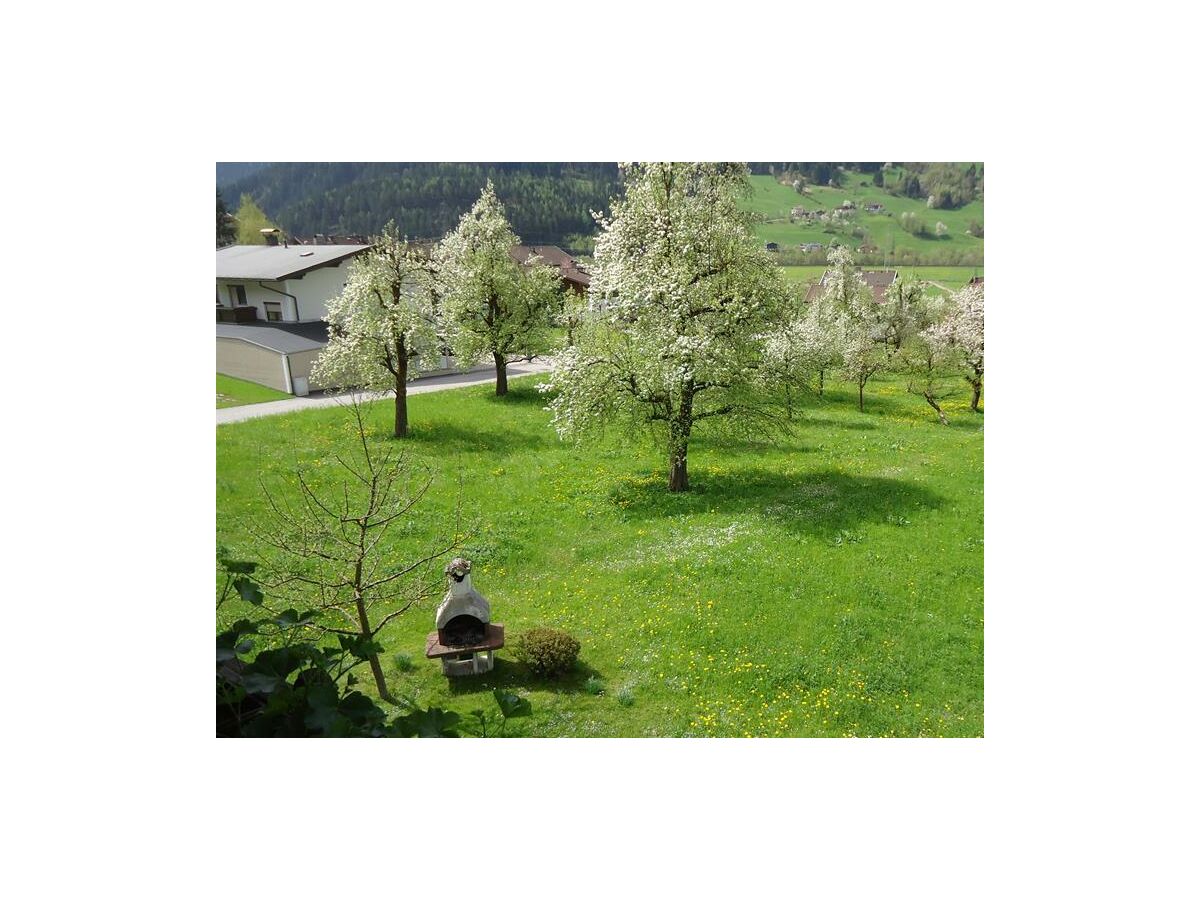 Apartment Wintergartenwohnung - 4 Schlafzimmer - Outdoor photo 3