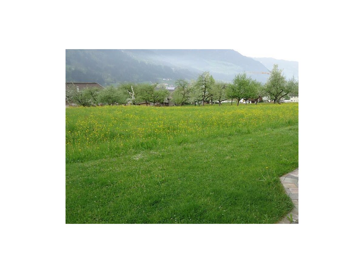 Apartment Wintergartenwohnung - 4 Schlafzimmer - Outdoor photo 4