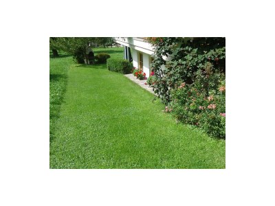 Apartment Wintergartenwohnung - 4 Schlafzimmer - Outdoor photo 6