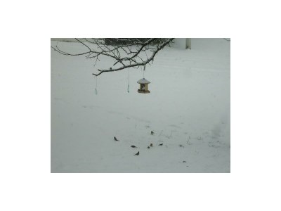 Apartment Wintergartenwohnung - 4 Schlafzimmer - Outdoor photo 8