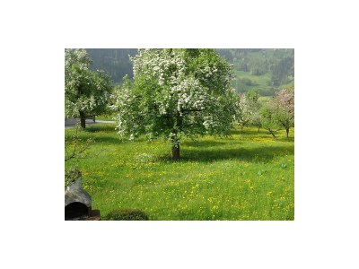 Apartment Wintergartenwohnung - 4 Schlafzimmer - Features photo 27