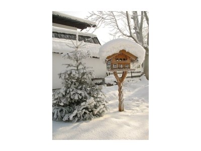 Apartment Ferienwohnung 2 - Outdoor photo 9