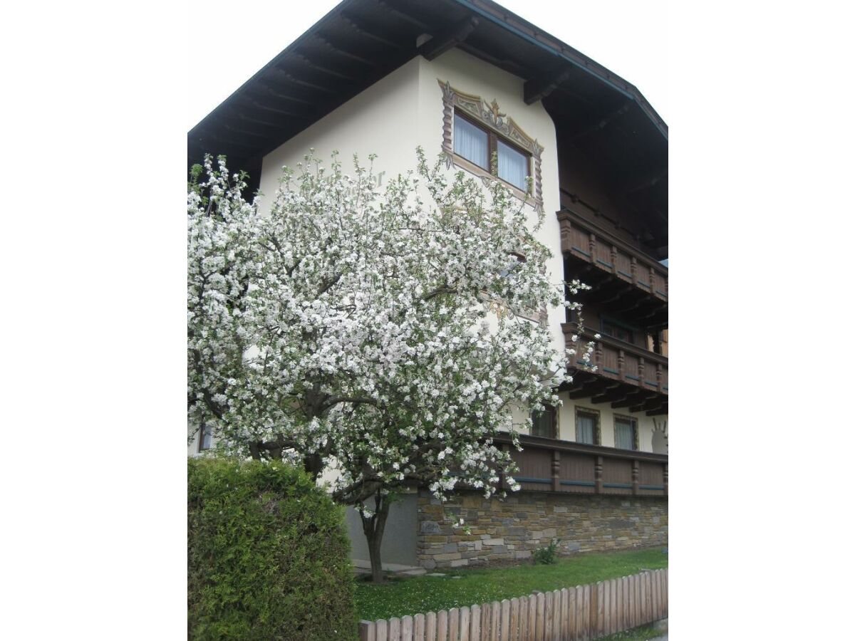 Apartment Appartement