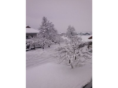 Apartment Appartement/Fewo, Dusche, WC, Terrasse - Outdoor photo 24