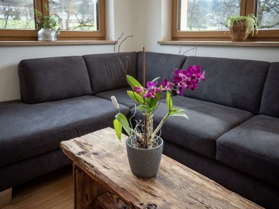 Apartment Appartement/Fewo, Dusche, WC, Terrasse - Outdoor photo 42