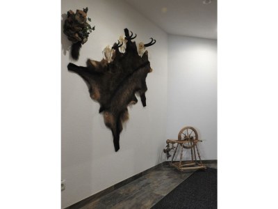 Apartment Appartement/Fewo, Dusche, WC, Terrasse - Outdoor photo 62