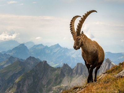 Apartment Ibex Apart "large" - Outdoor photo 24