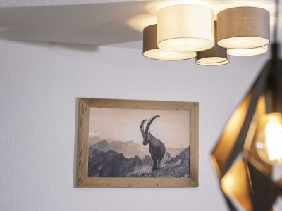 Apartment Ibex Apart "large" - Features photo 39