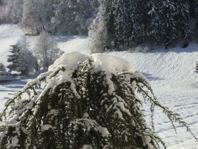 Apartment Ferienwohnung Paula (Sommer) - Outdoor photo 22