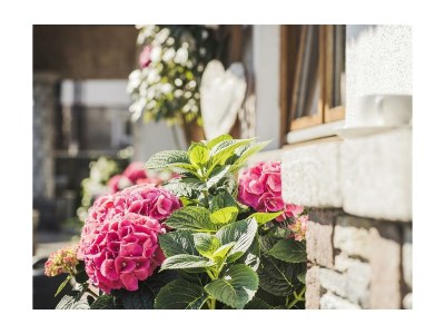 Holiday room Doppelzimmer mit Dusche, WC - Outdoor photo 12