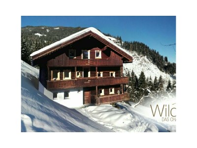 Apartment Chalet Wildauhof Alm - Outdoor photo 15