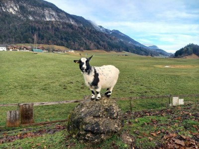 Apartment Ferienwohnung Bergtroll - Outdoor photo 25