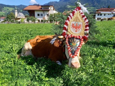 Apartment Ferienwohnung Bergtroll - Outdoor photo 28