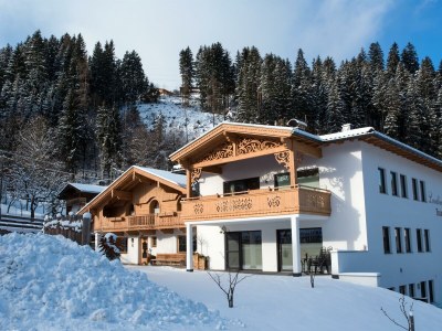 Apartment Apartment mit Blick in die Berge in Ried im Zillertal - Apartment