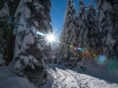 Apartment Apartment mit Blick in die Berge - Outdoor photo 3